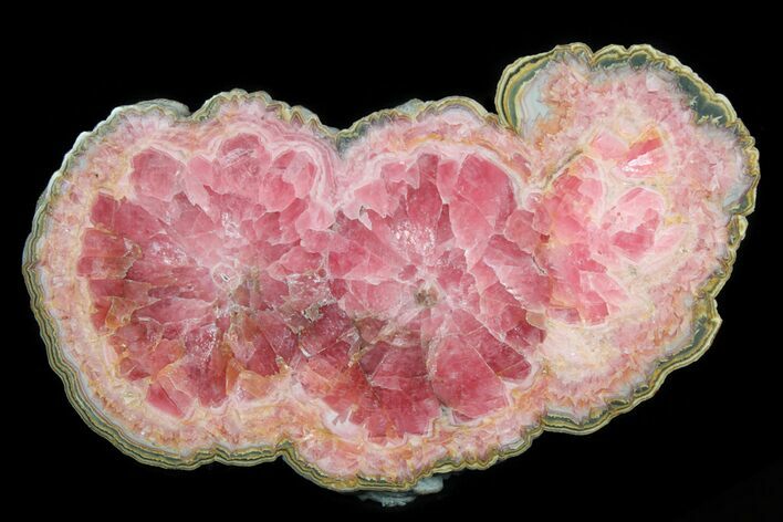 Rhodochrosite Stalactite Slice - Excellent Coloration #78050